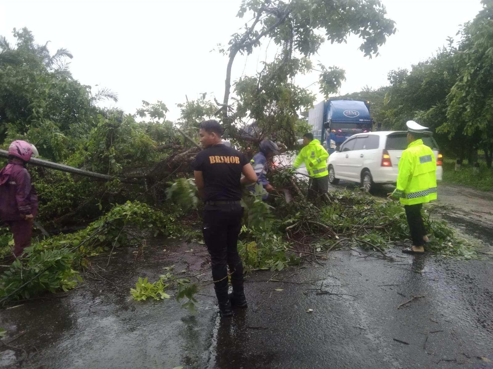 melaksanakan kegiatan evakuasi pohon tumbang di Gunung Sugih kab. Lampung Tengah